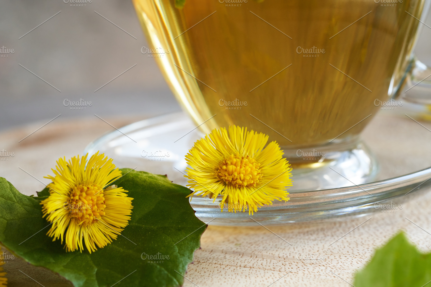 Yellow coltsfoot or tussilago flowers with a cup of coltsfoot te, a Food & Drink Photo by Madeleine Steinbach
