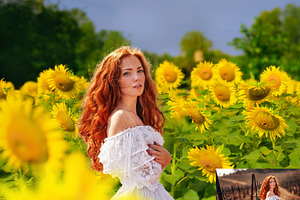 Sunflower Photo Overlays Backdrops