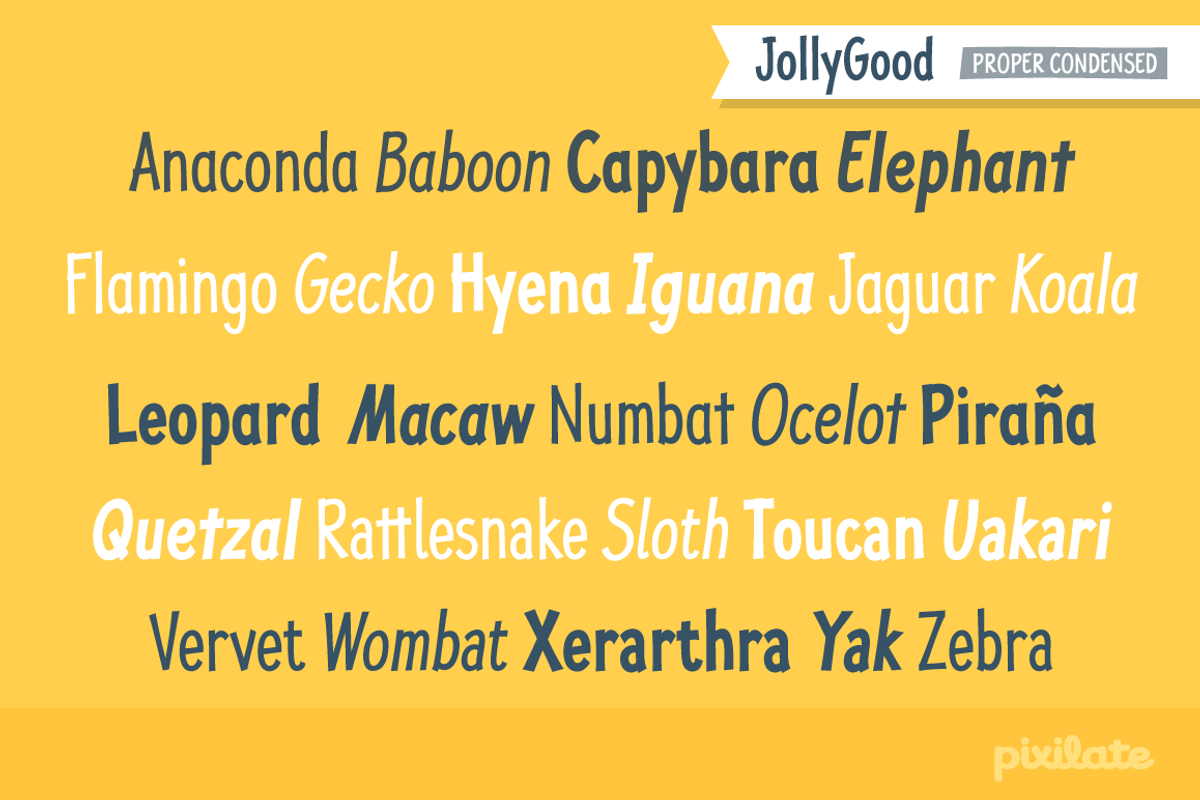 JollyGood Proper Condensed-Essential preview 5