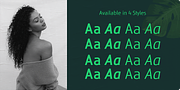Ankle, a Sans Serif Font by Vikers (Thumbnail 3 of 11)