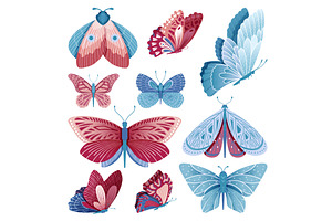 Butterflies Collection. Butterfly