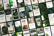 Editable Plant Canva Story Template, a Social Media Template by Snapybiz (Thumbnail 4 of 11)