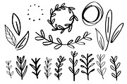 Hand Drawn Botanical Leafy Graphics, a Decorative Illustration by MontgomeryFest (Thumbnail 2 of 4)