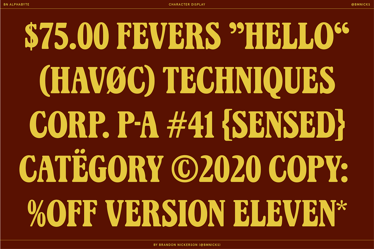BN Alphabyte, a Serif Font by Bnick (Photo 4 of 14)
