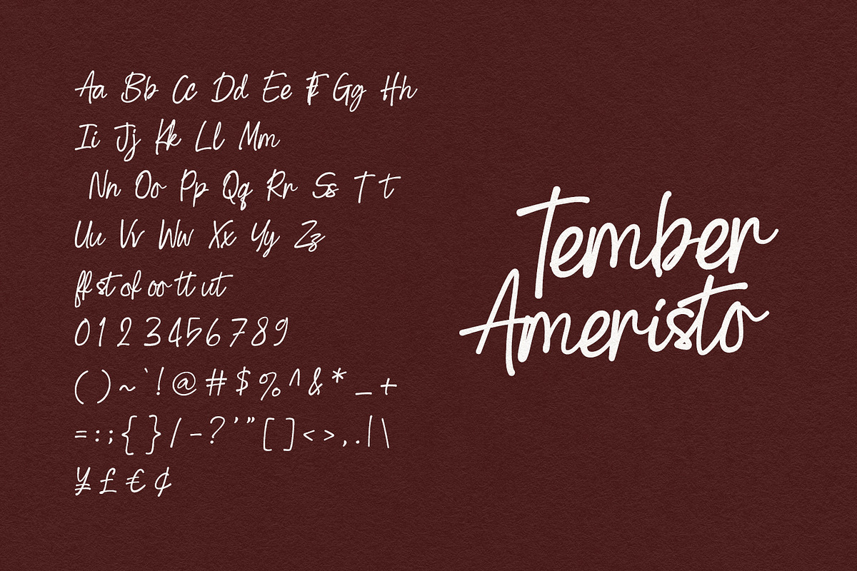 Tember Ameristo Casual Signature, a Script Font by Maulana Creative (Photo 6 of 7)