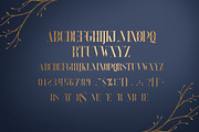 Explorers - Serif font + Extras, a Serif Font by VP Fonts (Thumbnail 7 of 12)