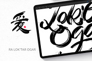 Dry Lettering Brushes. Procreate, a Brush Add-On by Diacritics (Thumbnail 5 of 9)