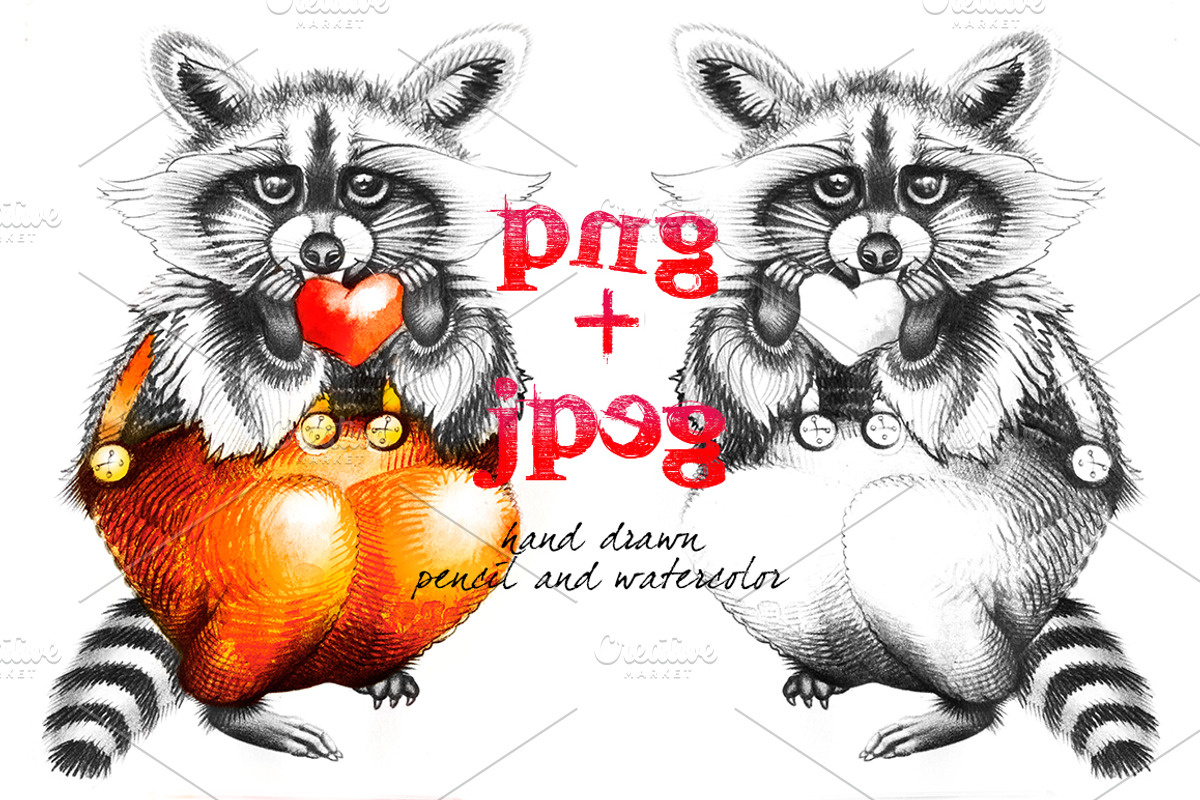 Raccoon with heart, an Animal Illustration by Allween (Photo 3 of 4)