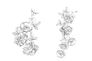 Hand Sketch floral art, an Object Graphic by VictoriaKStudio (Thumbnail 3 of 3)