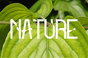 REDVICE, a Serif Font by asfgraphics (Thumbnail 9 of 9)