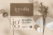 Unique Elegant Luxury Font - Magenta, a Serif Font by Sensatype (Thumbnail 4 of 12)