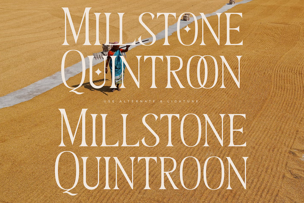 Megunso - Modern Serif Font, a Serif Font by AmorfaType (Photo 9 of 10)