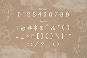 Antonika Font, a Handwritten Font by V Design Creator (Thumbnail 5 of 9)