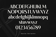 Diona Sans - Font Family, a Sans Serif Font by iqbal habibi (Thumbnail 6 of 11)