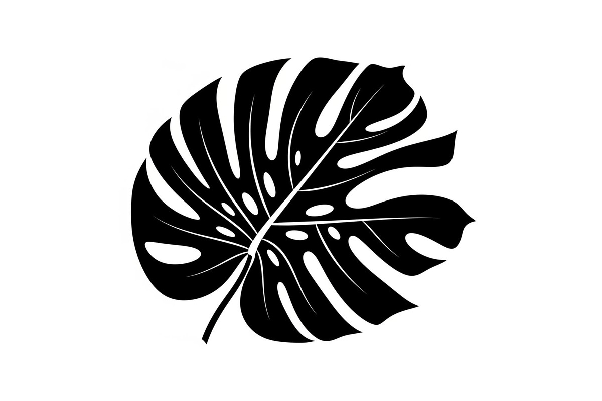 Monstera Leaf Silhouette Bundle, an Illustration by yasushie (Photo 9 of 31)