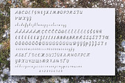 Moderna Script, a Script Font by Digital illustration shop (Thumbnail 2 of 8)