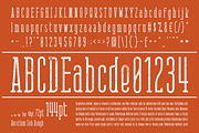 AURATIUM Regular & Slab Typeface, a Slab Serif Font by Alex-Banks Type (Thumbnail 7 of 13)