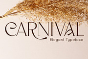 Elegant & Modern Font Bundle | Sale, a Sans Serif Font by Anna Zakharchenko (Thumbnail 5 of 37)