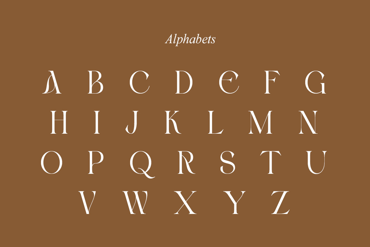 Blacke Brown | Modern Stylish, a Serif Font by Muntab_Art (Photo 10 of 11)