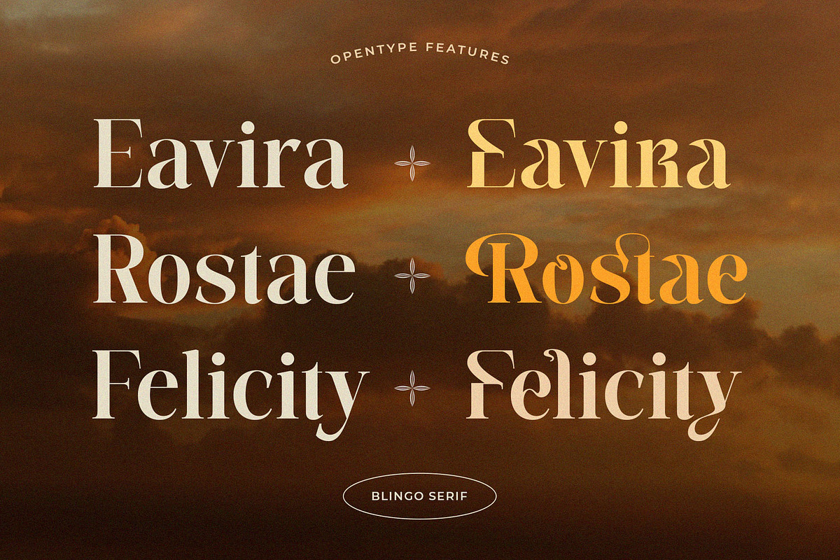 Blingo - Elegant Modern Serif Font, a Serif Font by Jimoji (Photo 6 of 7)