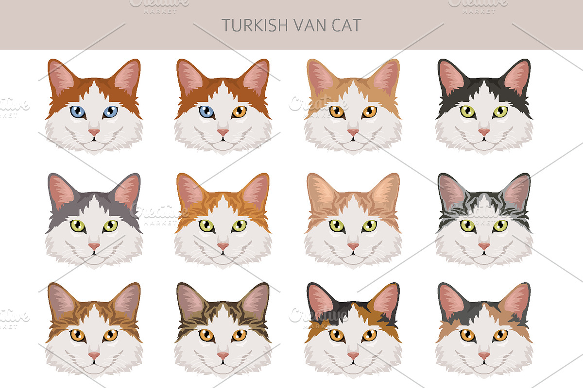 Turkish Van cat clip art, an Animal Illustration by pet design shop (Photo 4 of 5)