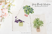 House Plants Collection Set II, a Graphic by SmallHouseBigPony (Thumbnail 19 of 21)