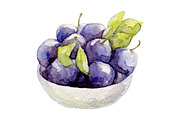 Watercolor 24 fruits set, a Food Illustration by My watercolor shop (Thumbnail 8 of 16)