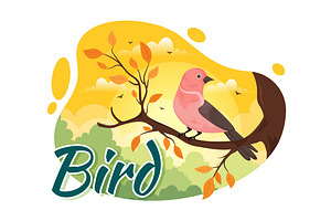 11 Bird Animal Vector Illustration