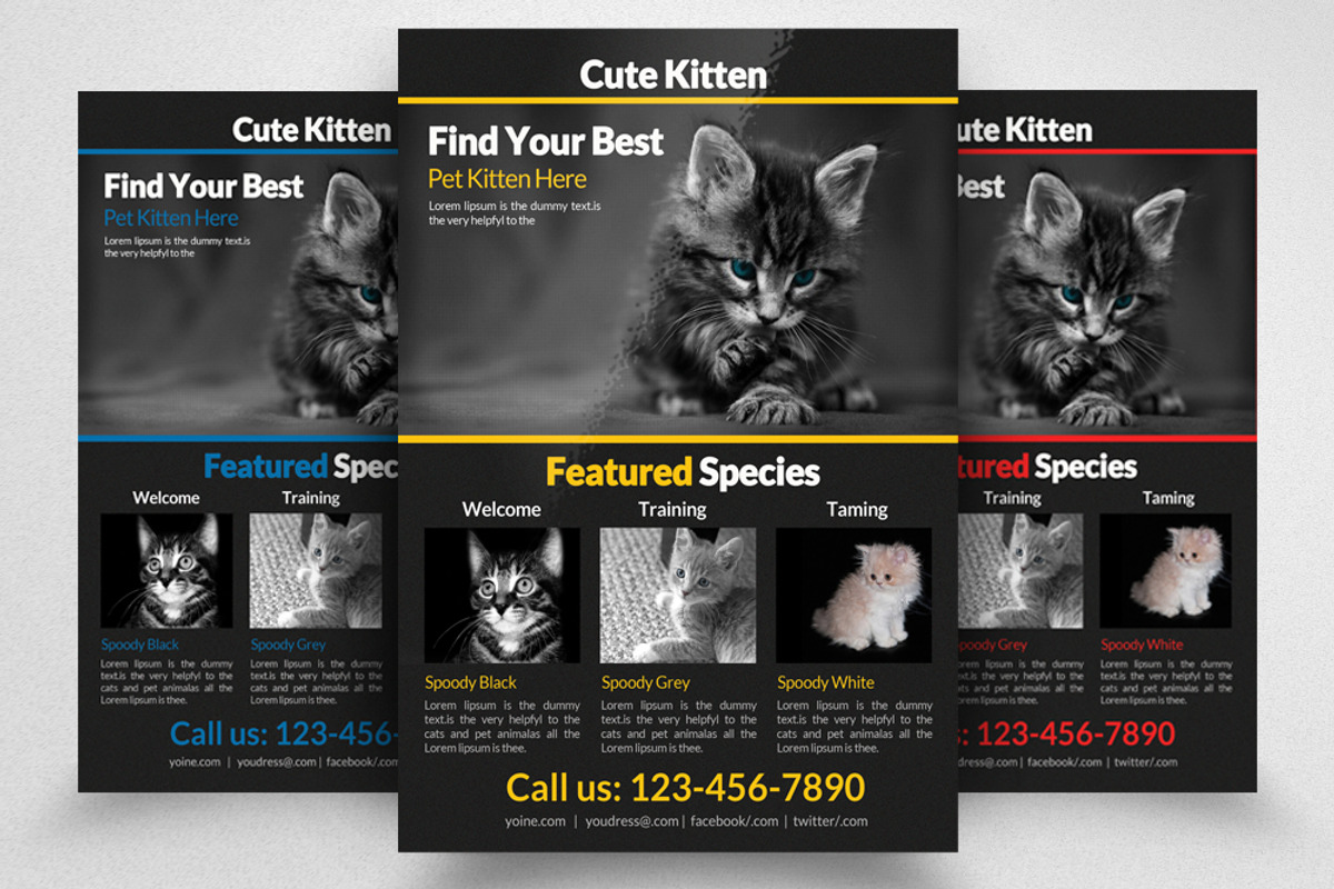 Pet Shop Flyer Templets, a Flyer Template by Psd Templates (Photo 1 of 3)
