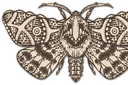 Butterfly Laser Cut Glowforge xTool, an Animal Illustration by Bubert Art (Thumbnail 2 of 9)