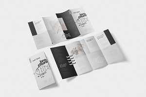 Roll-Fold Brochure Mockup - DL DIN