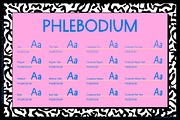 Phlebodium sans serif font 80s 90s, a Sans Serif Font by Fat Hamster (Thumbnail 4 of 9)