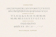 Pandora Emotion - Stylish Serif Fon, a Serif Font by Letterhend Studio (Thumbnail 9 of 10)
