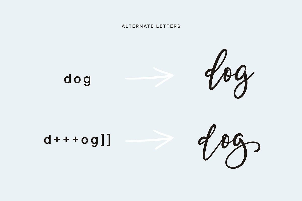 BetterFly - for Canva & Templett, a Script Font by Blessed Print (Photo 39 of 46)