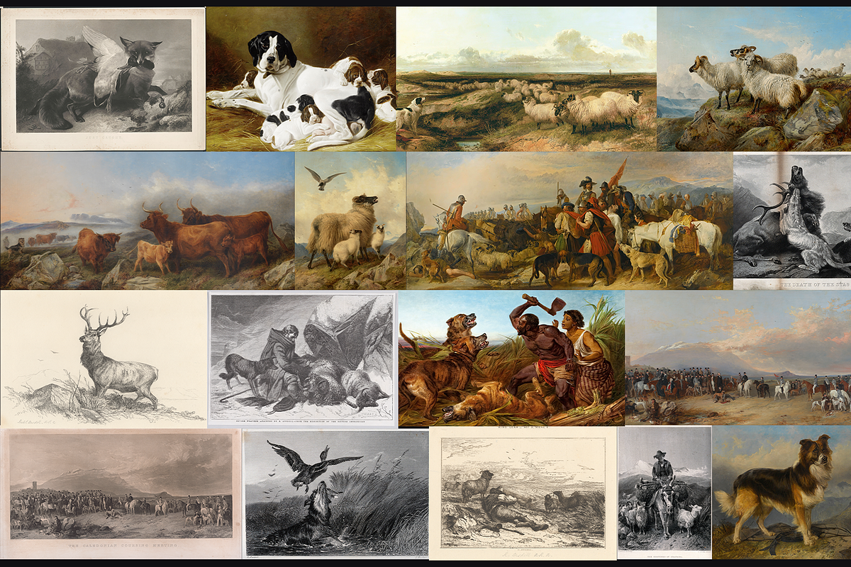 Richard Ansdell - Rare Paintings, an Animal Illustration by Digital Museum (Photo 4 of 9)