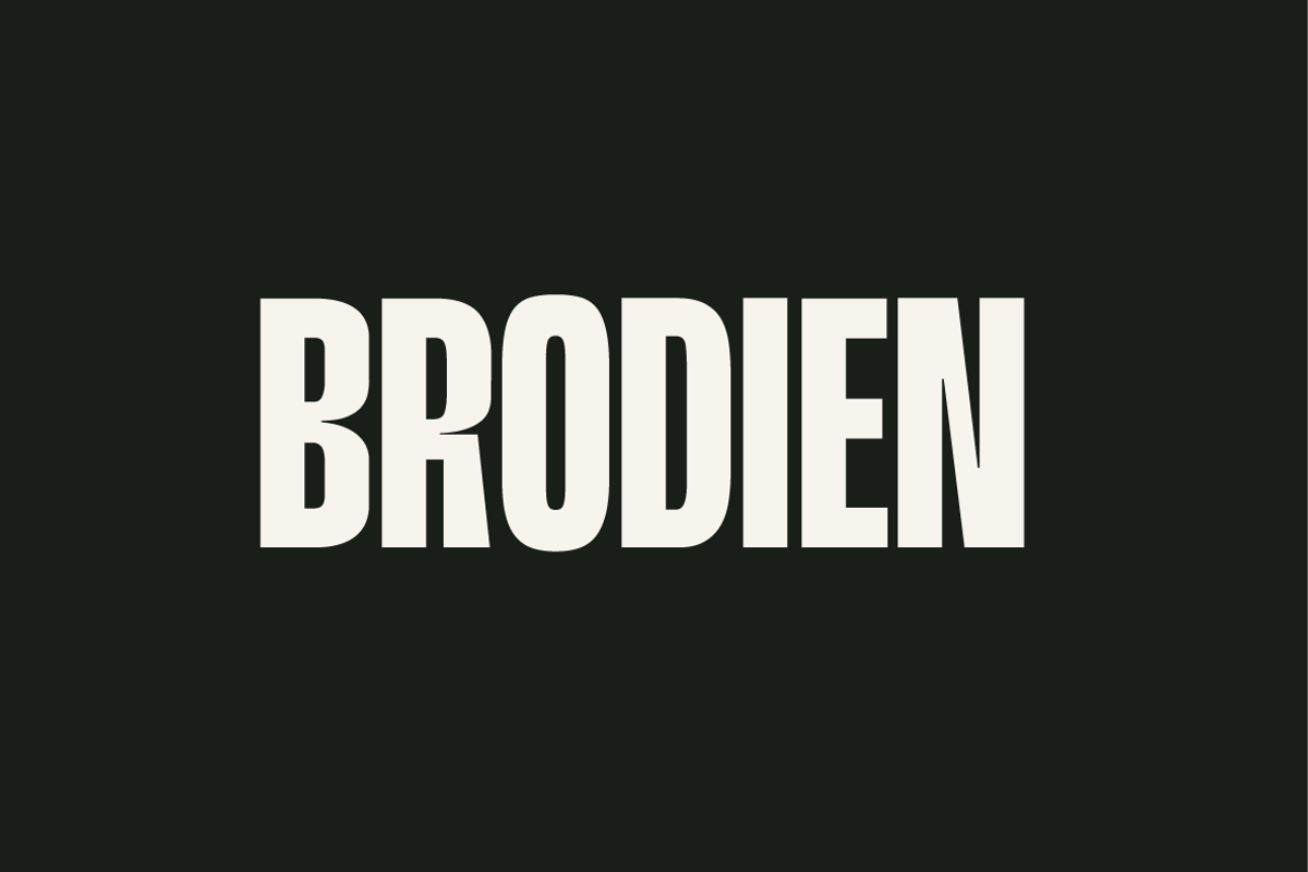Brodien Condensed Font, a Sans Serif Font by Yukita Creative (Photo 1 of 12)