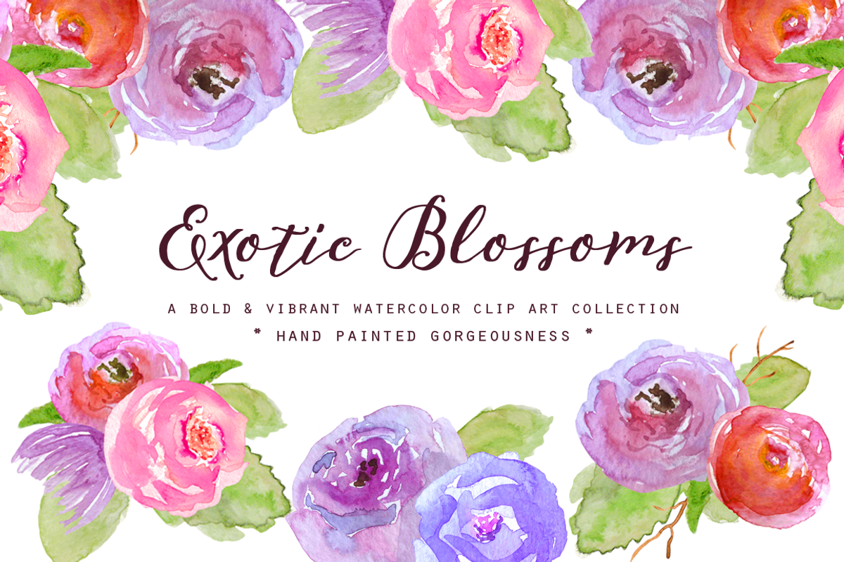 Watercolor Exotic Blossoms Clipart, an Illustration by Emerald & Ivy Studios (Photo 1 of 3)