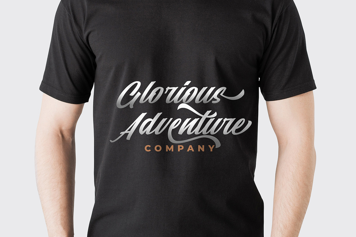 Starlight || Modern Script, a Script Font by Analogous (Photo 11 of 16)