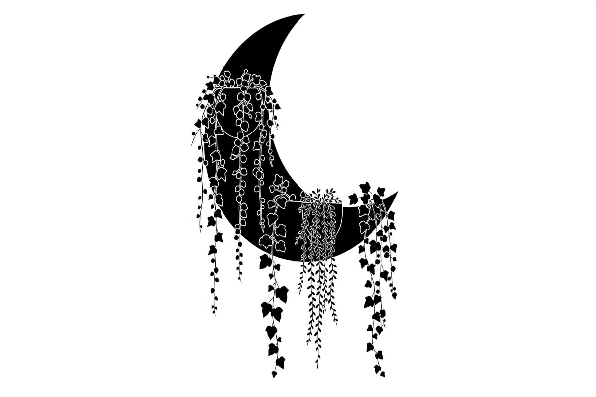 Hanging Moon with Plants Bundle, an Illustration by Designs_River (Photo 10 of 31)