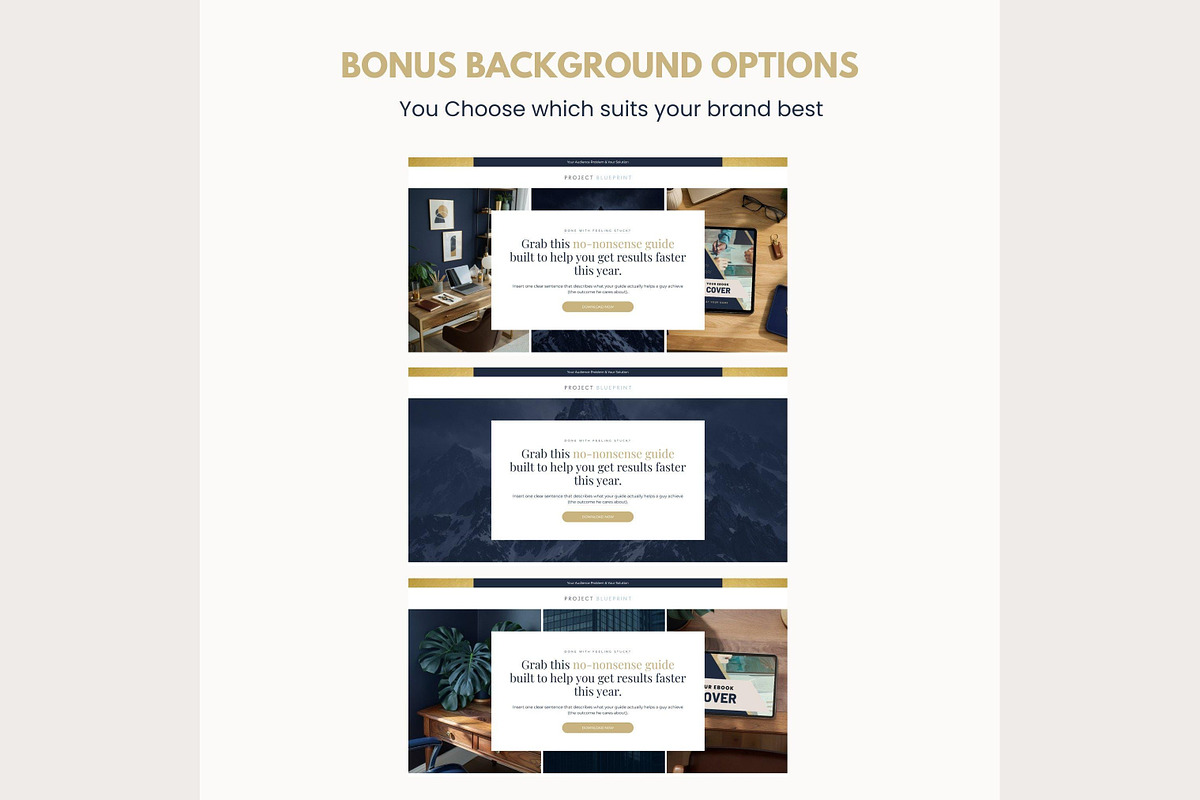Systeme.io Blueprint Lead funnel, a Landing Page Template by Hayley's Digital Hub (Photo 4 of 10)