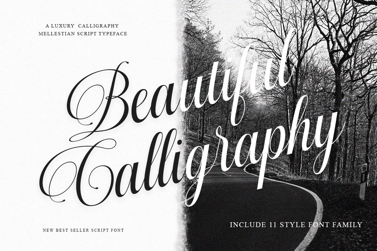Millestian Script | 11 Font Style, a Script Font by IM Studio (Photo 3 of 9)