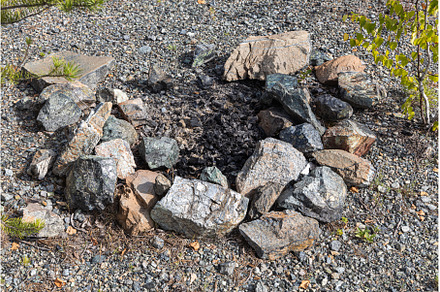 Gray and brown big stones and pine, a Nature Photo by Illustrations&photos