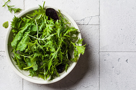 Mix different types of green salad, a Food & Drink Photo by vaaseenaa