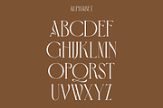 Brownish | Modern Stylish, a Serif Font by Muntab_Art (Thumbnail 8 of 9)