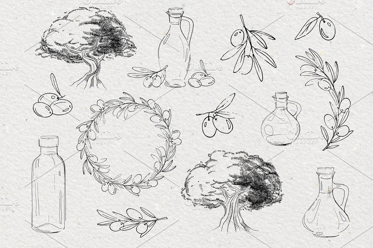 Olives & olive oil sketches, vector, a Food Illustration by harmonia_green_art (Photo 2 of 9)