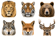 Wild Animals Illustration Clipart, an Animal Illustration by Wowly Design (Thumbnail 2 of 20)