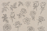 Roses flowers lineart clipart., a Graphic by svetodesign (Thumbnail 3 of 5)