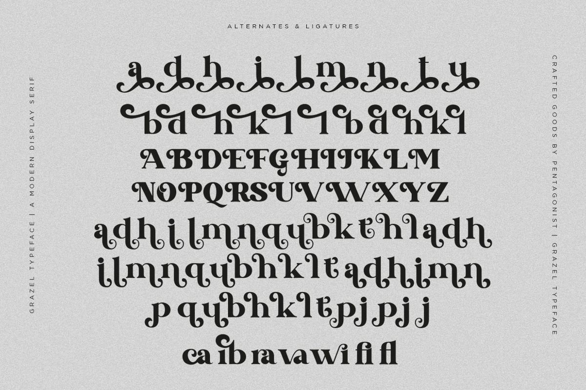 Grazel | Modern Display Serif, a Serif Font by Pentagonistudio (Photo 9 of 10)