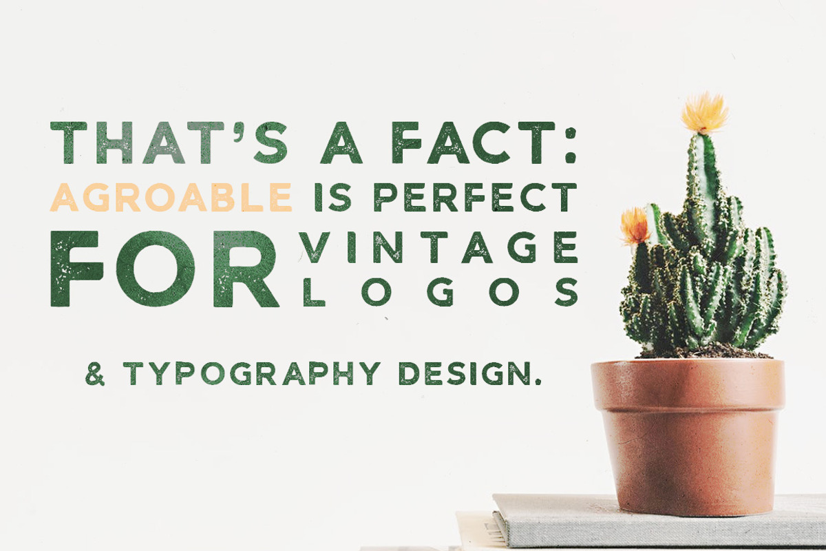Agroable - Clean & Rough Font preview 2