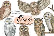Watercolor Owls, an Animal Illustration by OlDm_Shop (Thumbnail 1 of 5)